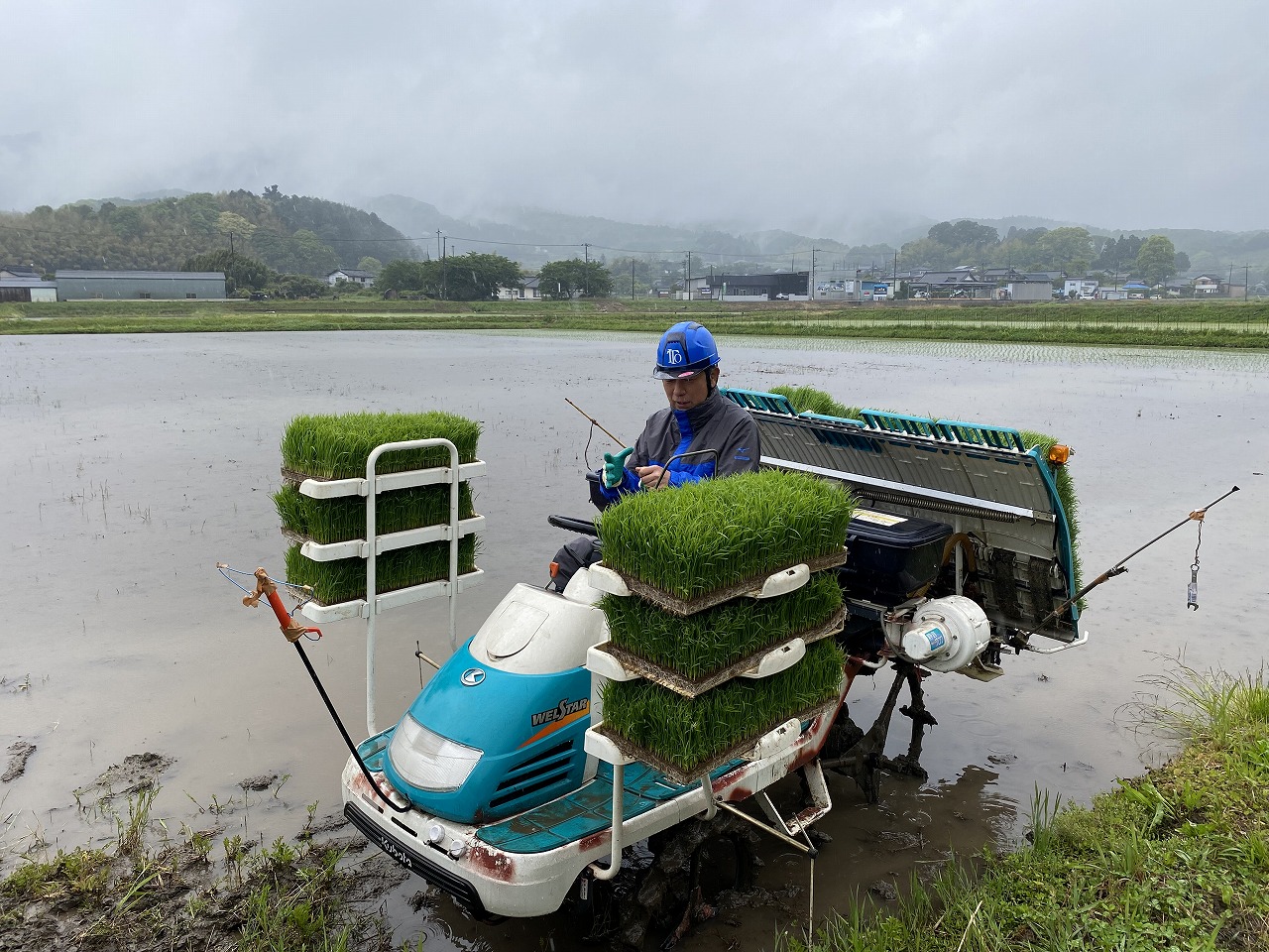 高齢者農業支援2023春 田植え編