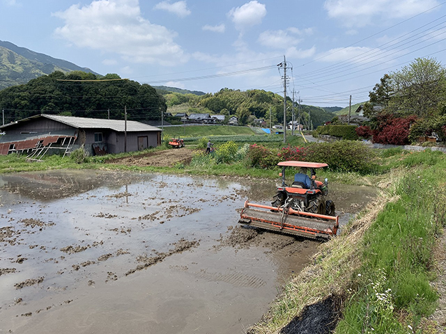 高齢者農業支援2021春 田植え編