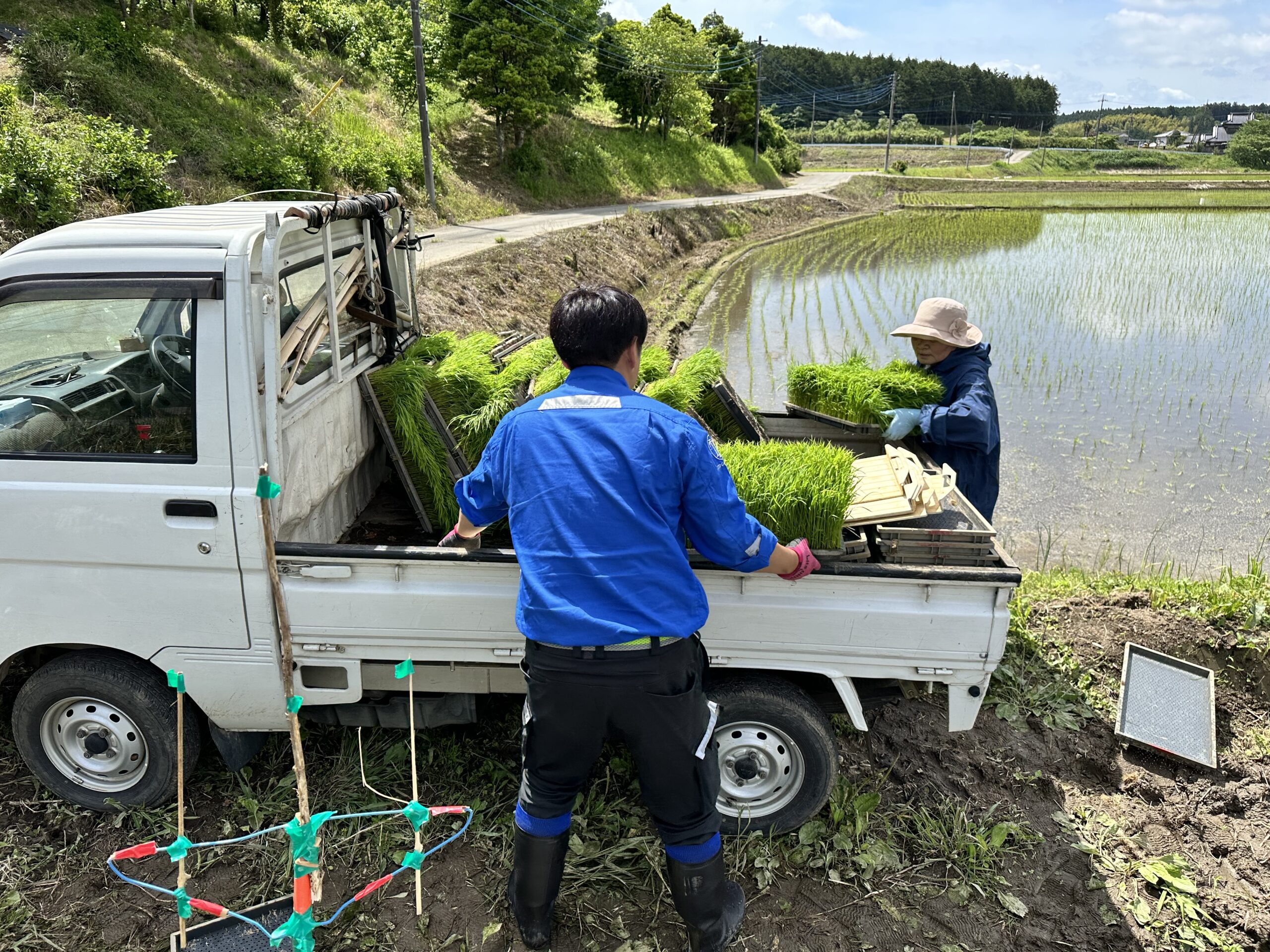 高齢者農業支援2024春 田植え編